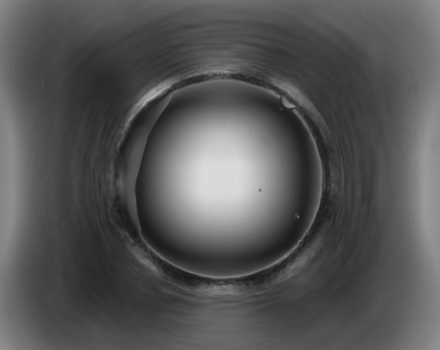 X0000086730834200704201644