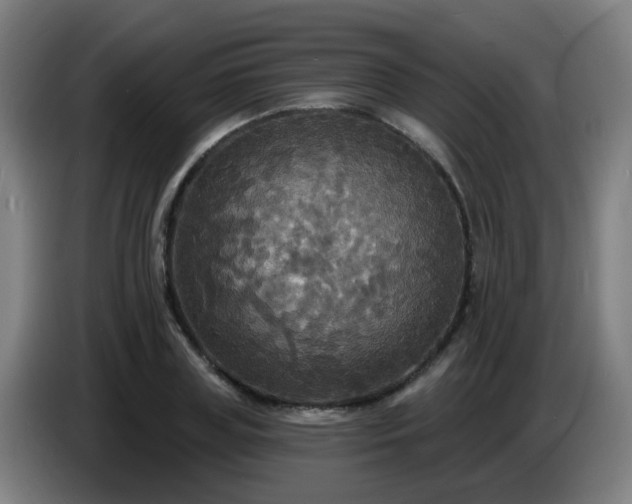 X0000086730835200704201644