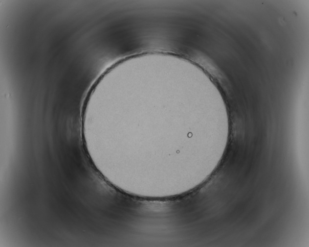 X0000086730836200704201644