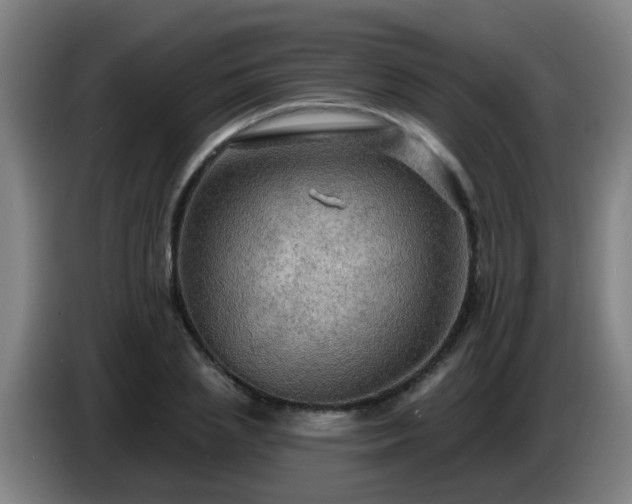 X0000086730837200704201644