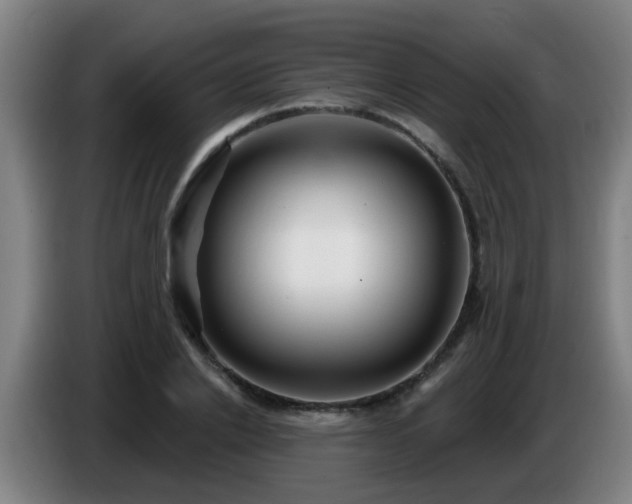 X0000086730838200704201644