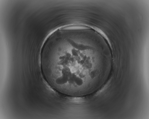 X0000086730839200704201644