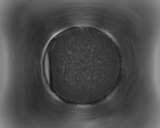 X0000086730840200704201644