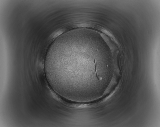 X0000086730841200704201644