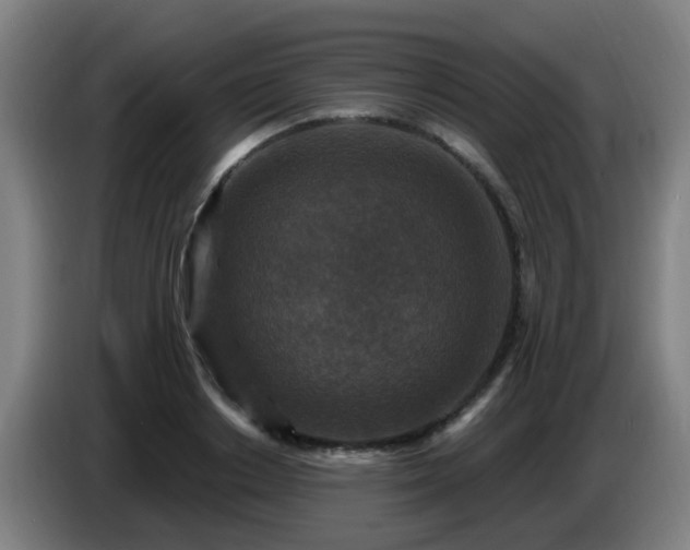 X0000086730842200704201644