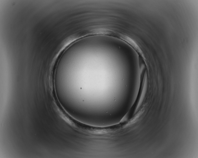 X0000086730843200704201644