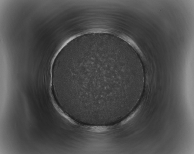 X0000086730844200704201644