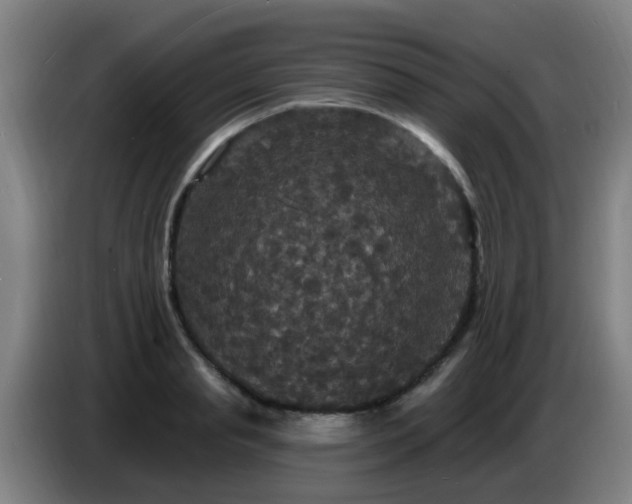 X0000086730845200704201644