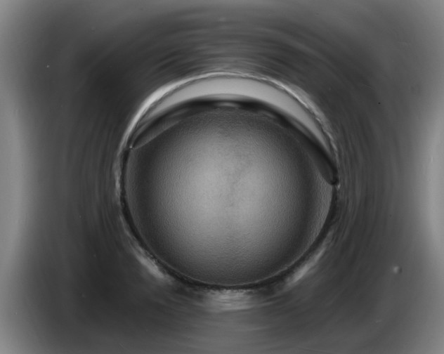 X0000086730846200704201644