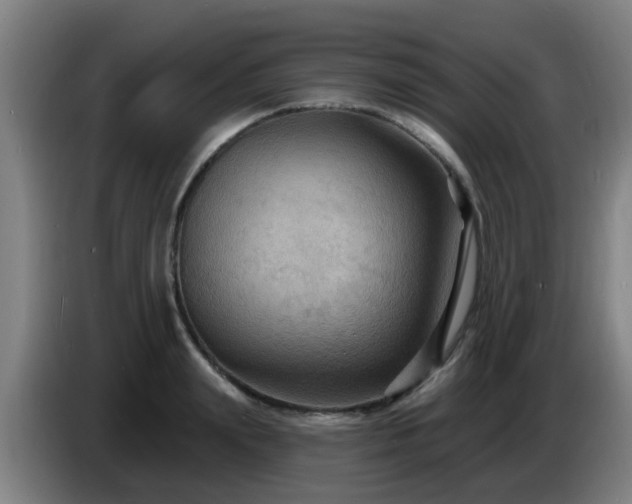 X0000086730847200704201644