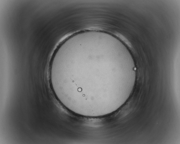 X0000086730848200704201644