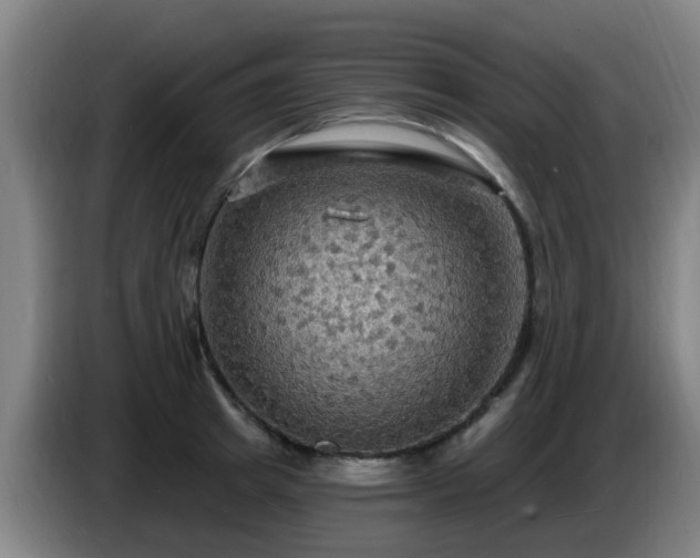 X0000086730849200704201644