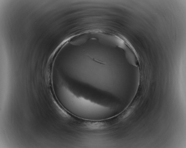 X0000086730851200704201644