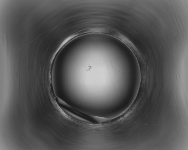 X0000086730852200704201644