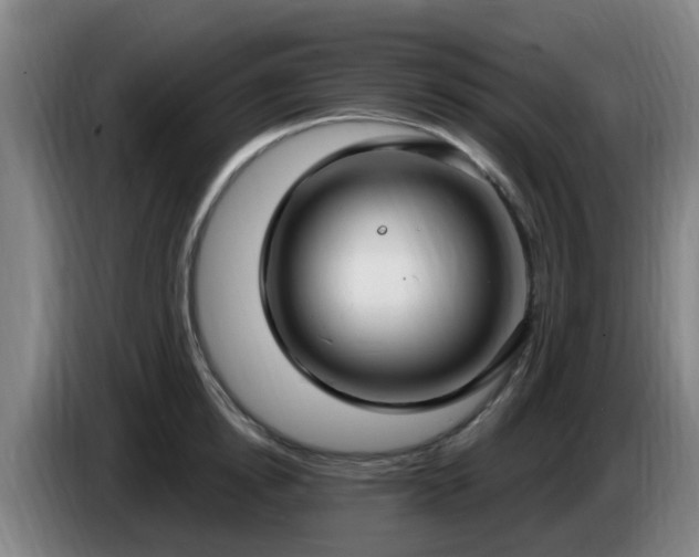 X0000086730854200704201644