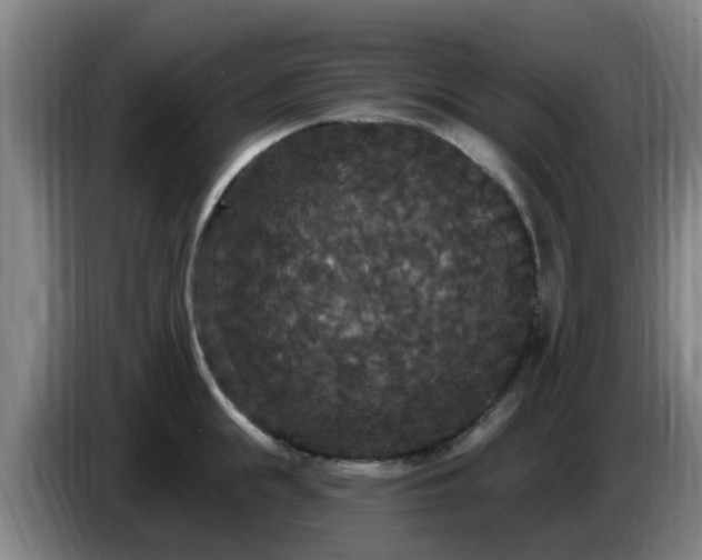 X0000086730855200704201644