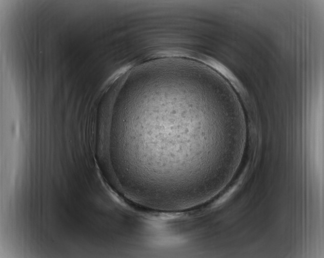 X0000086730857200704201645