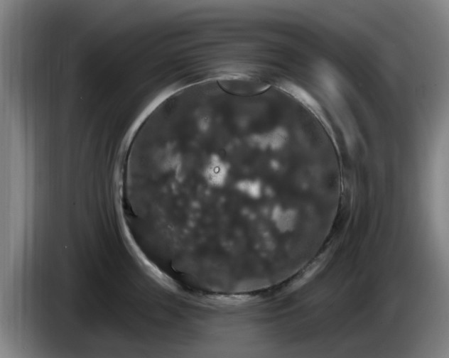 X0000086730859200704201645