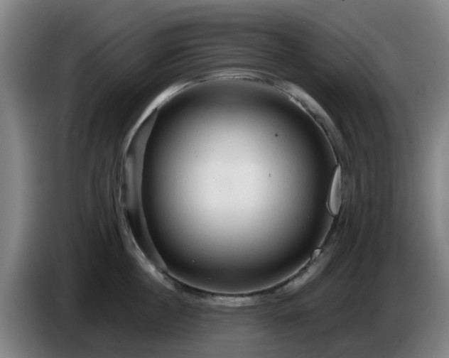 X0000086730860200704201645