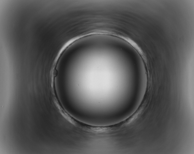 X0000086730862200704201645