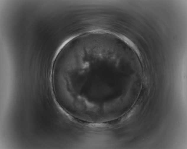 X0000086730863200704201645