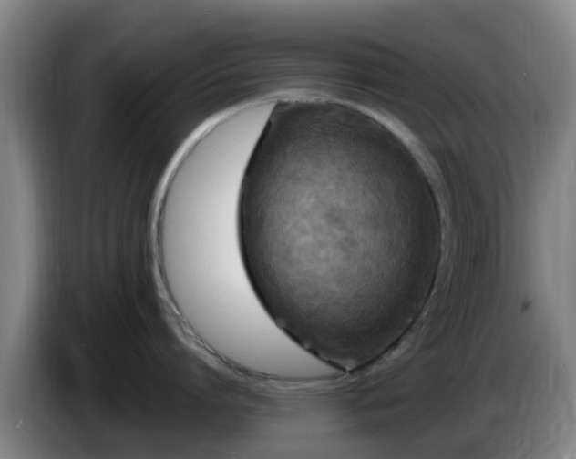 X0000086730864200704201645