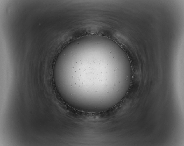 X0000086730865200704201644