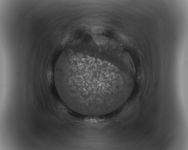 X0000086730866200704201644