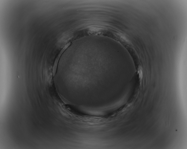 X0000086730868200704201644