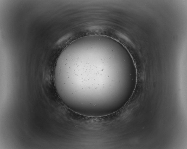 X0000086730869200704201644