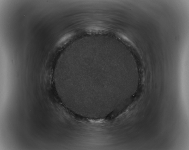 X0000086730870200704201644