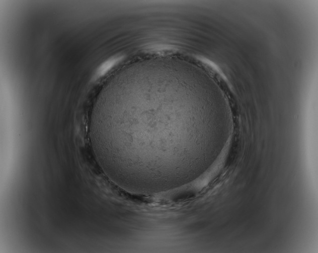 X0000086730871200704201644