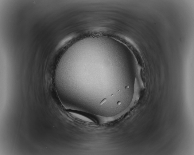 X0000086730872200704201644