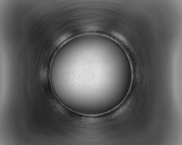 X0000086730873200704201644