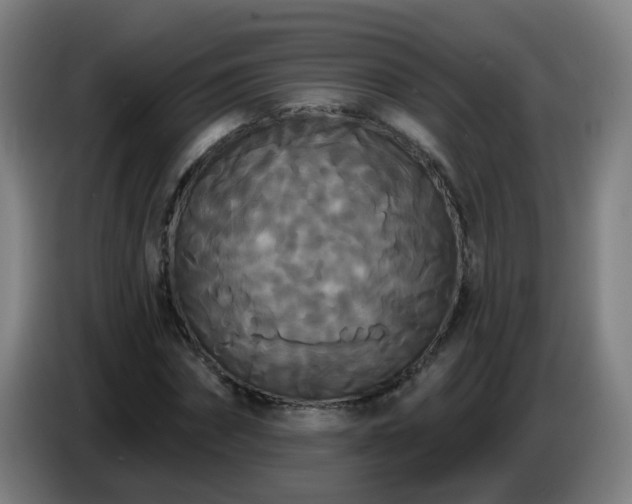 X0000086730874200704201644