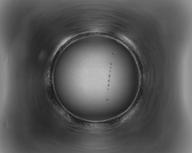 X0000086730875200704201644