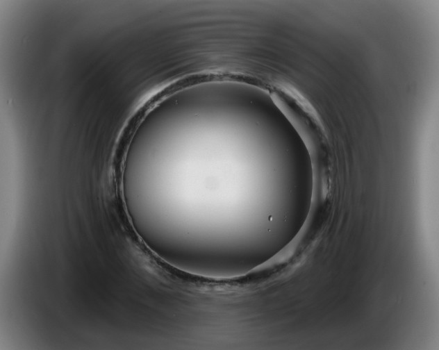 X0000086730876200704201644