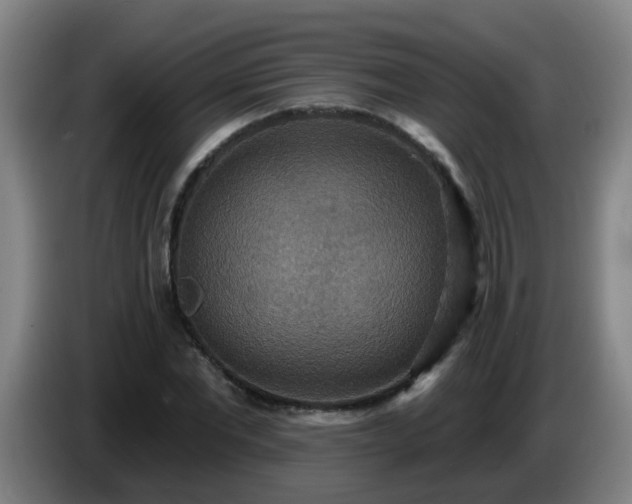 X0000086730877200704201644