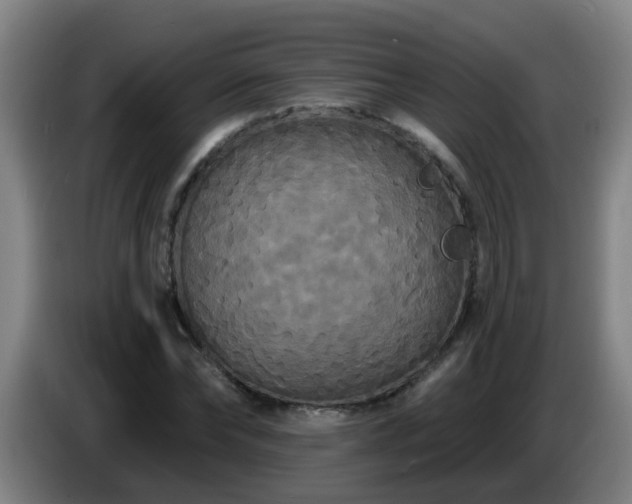 X0000086730878200704201644