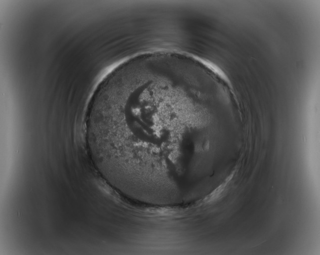 X0000086730879200704201644