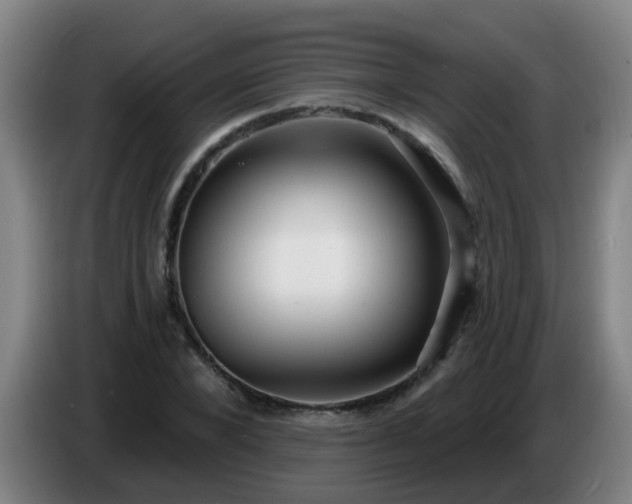 X0000086730880200704201644