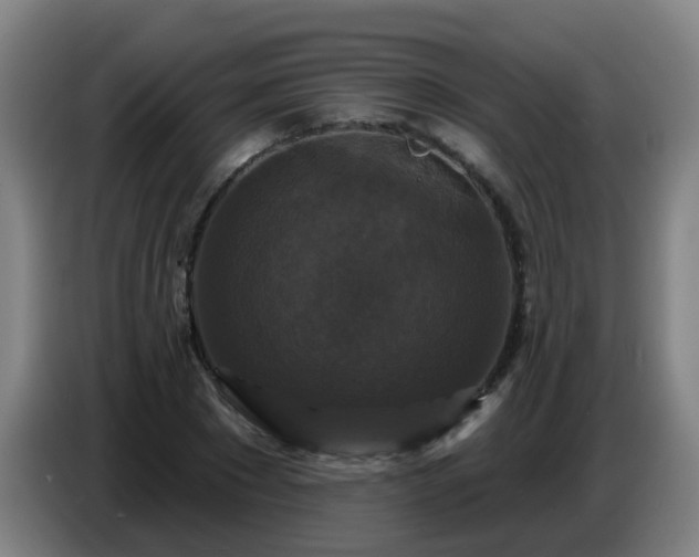 X0000086730881200704201644