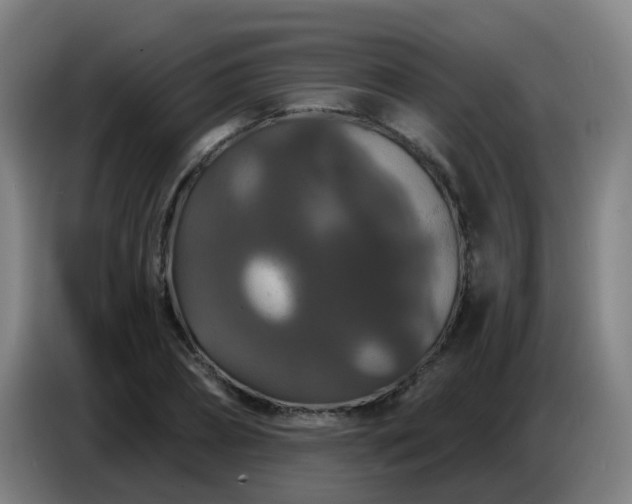 X0000086730882200704201644