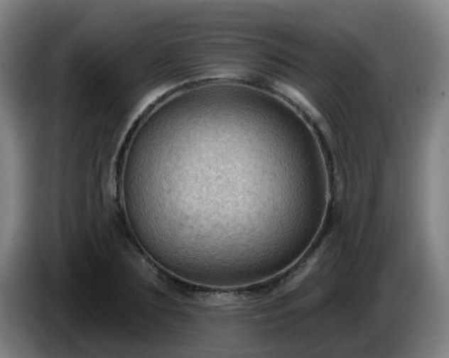 X0000086730883200704201644