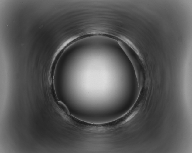 X0000086730885200704201644