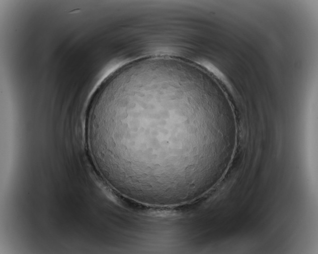 X0000086730886200704201644