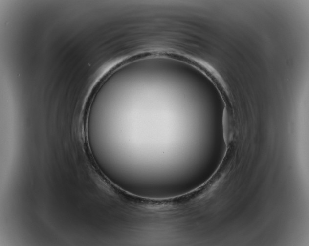 X0000086730887200704201644