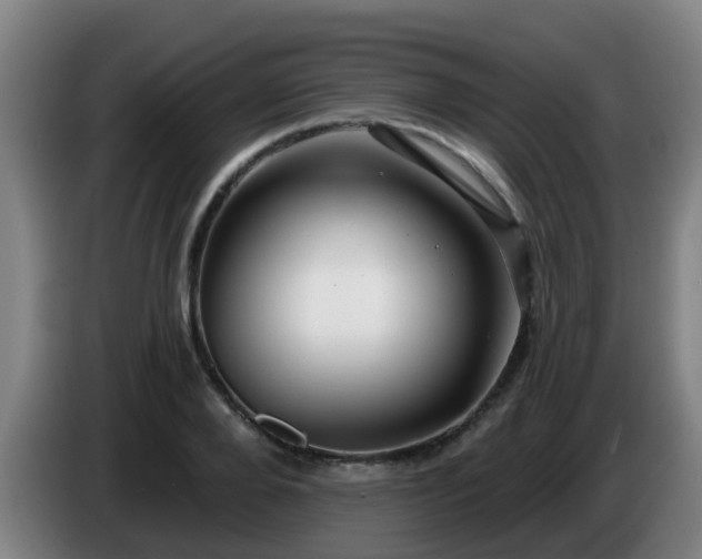 X0000086730888200704201644