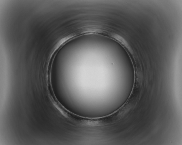 X0000086730890200704201644