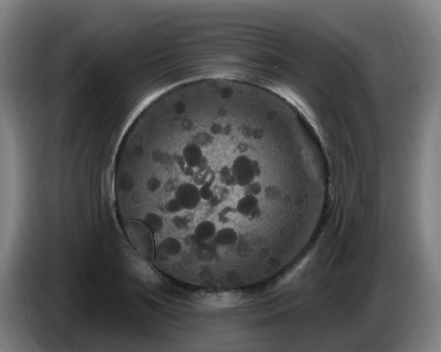 X0000086730891200704201644